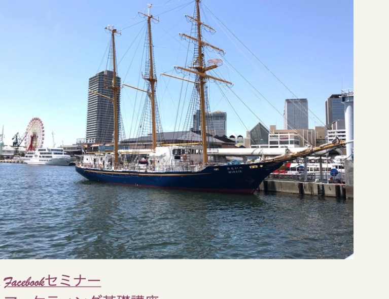 D.I.AKITA